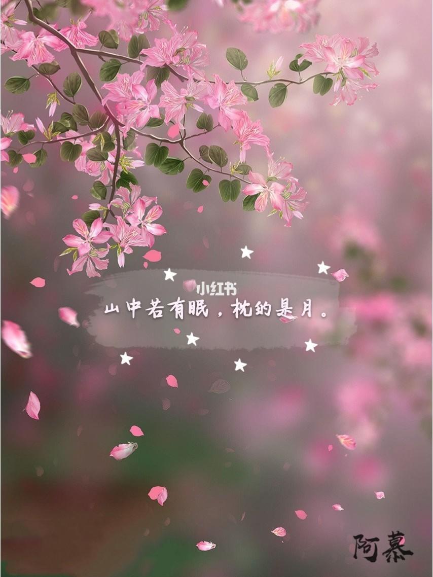            守梦栩笙    