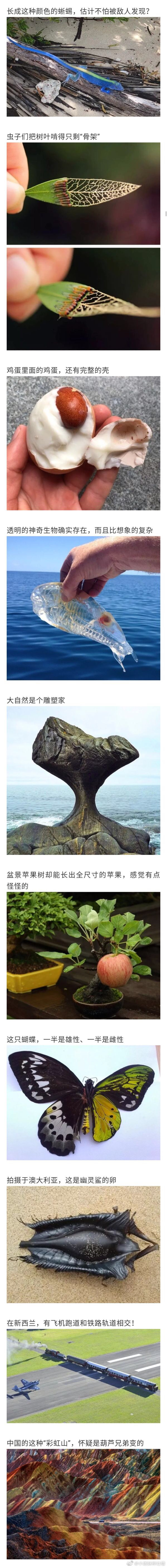             守梦栩笙    