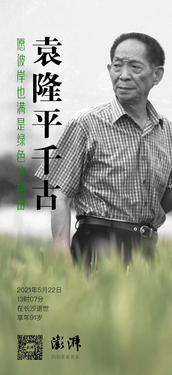 守梦栩笙