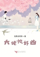 大佬他好凶