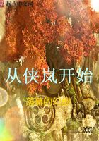 从侠岚开始