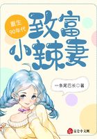 重生90年代，致富小辣妻