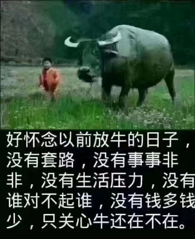 好怀念
