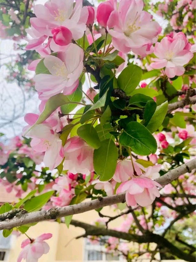 习惯了得到，却忘记了感恩