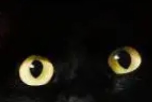 5个幽默小故事，值得一读！