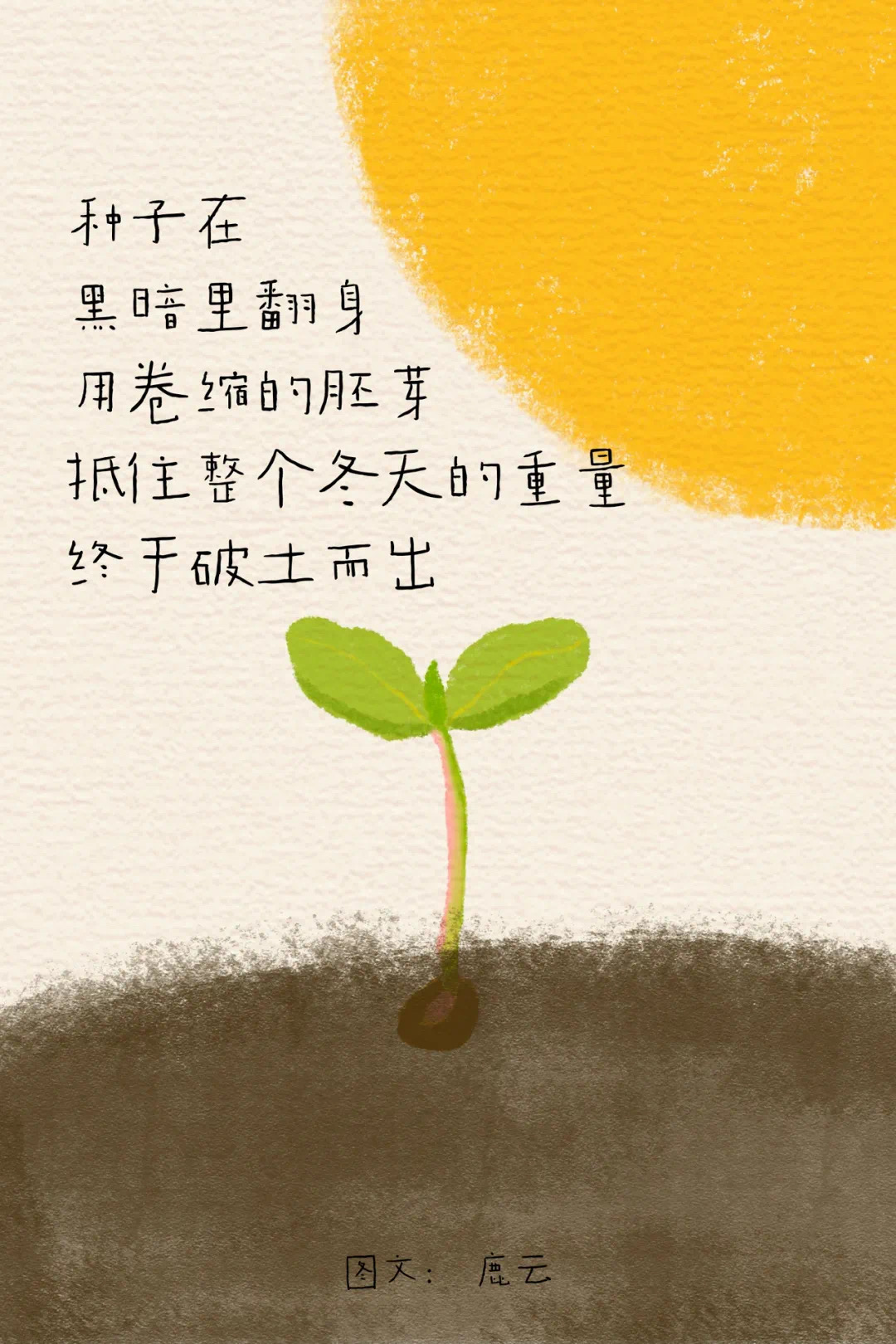 我一无所有，却拥有了整个春天