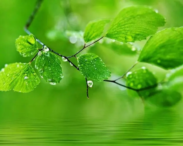 日为朝，月为暮， 风为弦，月为妆