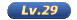 29级