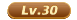 30级