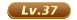 37级
