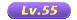 55级